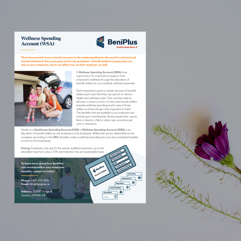 Print Design - BeniPlus Insurance, Wellness Brochure Design